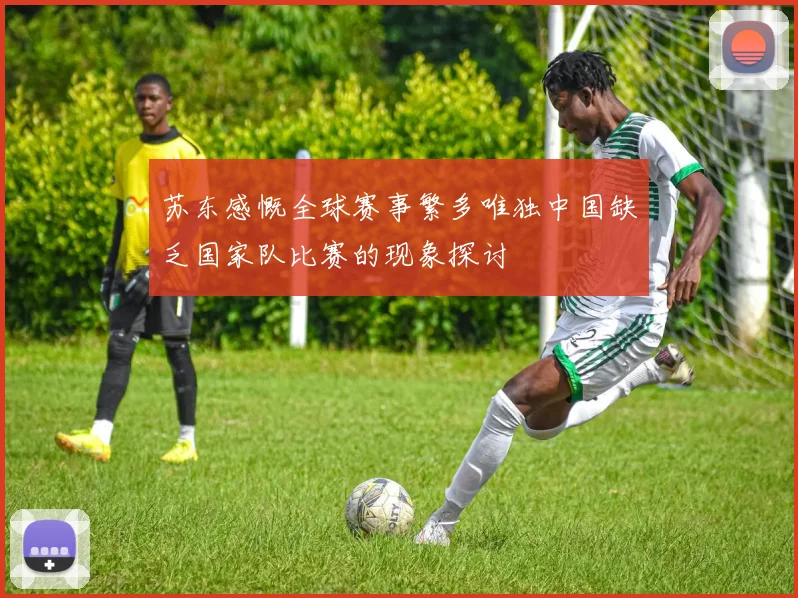 苏东感慨全球赛事繁多唯独中国缺乏国家队比赛的现象探讨